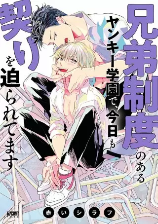 兄弟制度のあるヤンキー学園で、今日も契りを迫られてます の表紙