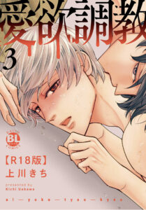 愛欲調教3 表紙