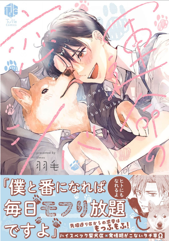 運命の恋シバ 表紙